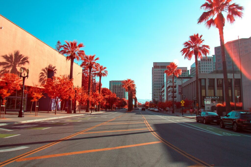 San Jose city streets with palm trees.