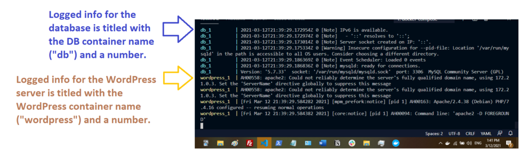 Docker WordPress and MySQL terminal in VSCode.