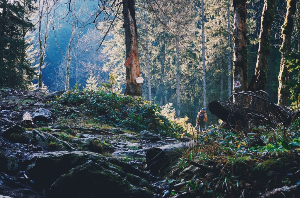 Man hiking through forest