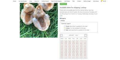 Screen Shot 2022-01-30 at 11.20.14 PM