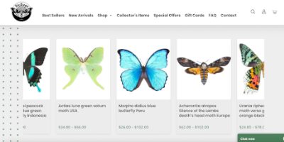 Bicbugs homepage screenshot
