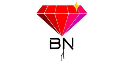BN logo.
